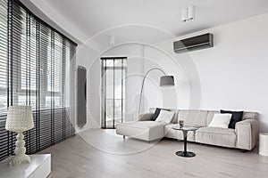 Designed living room interior in black and white