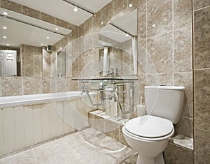 Designer bathroom