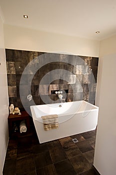 Designer Bathroom