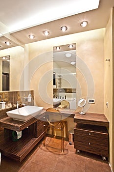 Designer bathroom