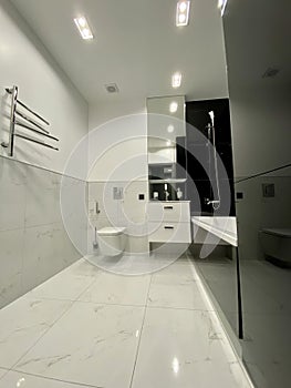 Designer bathroom in black white style