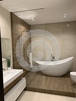 Designer bathroom At home