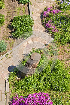 Designer garden path