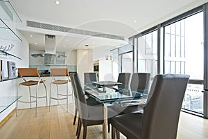 designer interior of dining area and kitchen