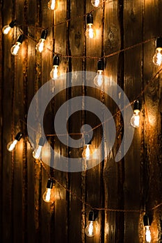 Designer light bulbs on dark wooden background