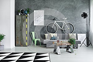 Monochromatic living room with bike photo