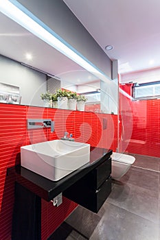 Designer toilet with red tiles