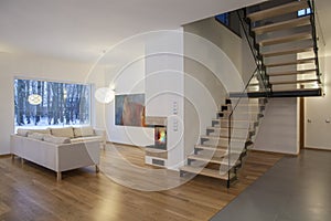 Designers interior - living room and a hall photo