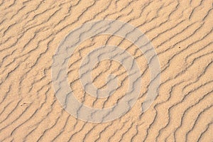 Designs in the Sand Background