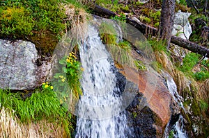 A desirable waterfall in nature in the woods