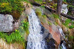 A desirable waterfall in nature in the woods photo