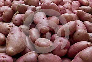 Desiree potatoes