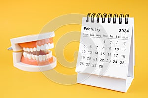 Desk calendar February 2024 and tooth model on yellow background