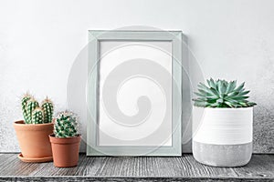 Desk with mock up photo frame on wooden shelf with plants in different ceramic pots. Home gardening. Template