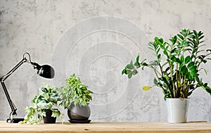 A desk for working with a lamp and flowers on wooden surface and a concrete gray wall on the background. Copy space