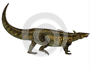 Desmatosuchus Profile