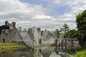 Desmond Castle Ireland