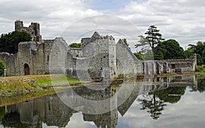 Desmond Castle Ireland