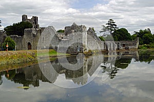 Desmond Castle Ireland