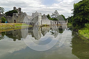 Desmond Castle Ireland