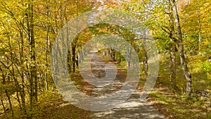 Desolate country road has leaves falling in autumn season New York