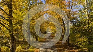 Secluded Narrow Lane Road Tree Leaves Autumn Season Fall Colors