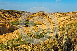 Desolate Desert Landscape