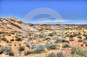 Desolate Desert Landscape at Valley of Fire State Park, Nevada HDR
