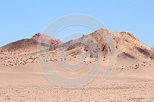 Desolate desert pastel pink landscape, Namibia