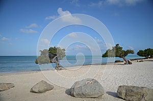 Desolate Eagle Beach in Aruba