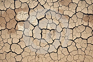 Desolate earth Background of parched and cracked dry ground