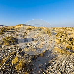 Desolate infinity in Israel