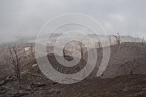 Desolate landscape of dead forest with burned and dry trees with view to Turrialba volcano on a cloudy day