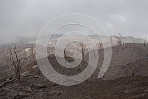 Desolate landscape of dead forest with burned and dry trees with view to Turrialba volcano on a cloudy day photo