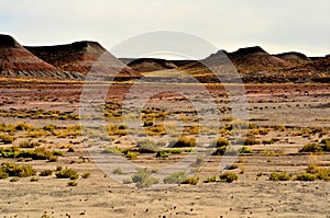 Desolate Landscape Petrified Forest Arizona