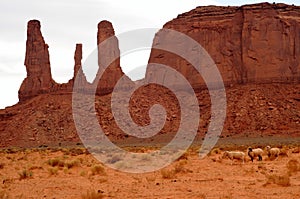 Desolate Monument Valley Arizona USA Navajo Nation with Sheep