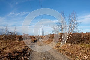 Desolate Road