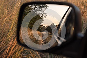 Desolate road seen from a rearview mirror.