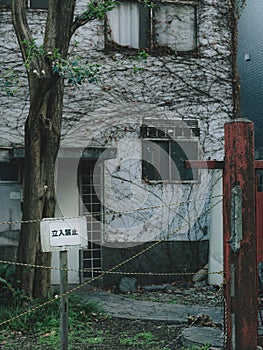 Nature reclaims its space as a desolate Tokyo house, overgrown with winter vines photo