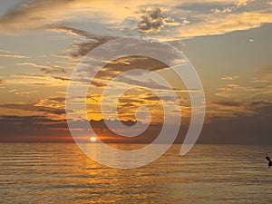 Desolate Turtle Beach on Florida\'s Gulf coast right before a beautiful blue and orange sunset sunset