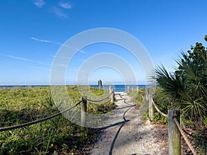 Desolate Turtle Beach on Florida\'s Gulf of Mexico coast