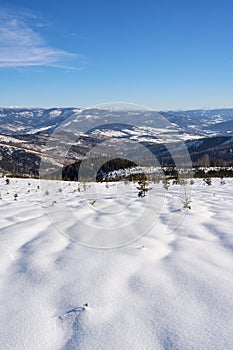 Desolate view of Silesian Beskid on Bialy Krzyz, Poland - vertical