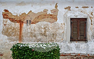 desolate wall of an old farmhouse