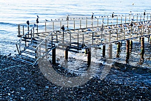 Desolated Dock With Seagulls And Calm Sea