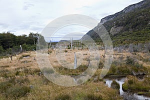 Desolated landscape at tierra del fuego