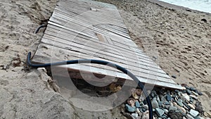 desolation of a beach in the aftermath of a storm, marked by the undeniable effects of climate change