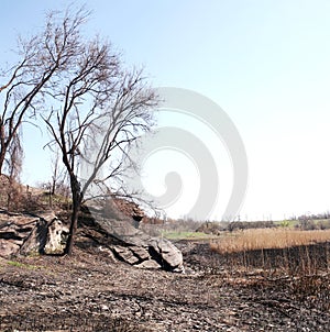 Desolation on the dry riverbed
