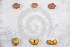 Despicable potatoes of different shapes on a gray background, copy space