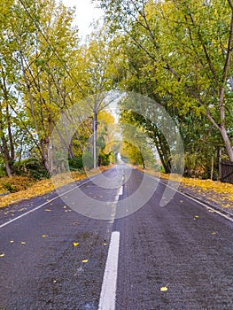 DespuÃ©s de la lluvia - After the rain - Chile -