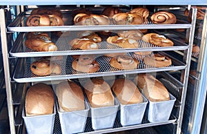 Dessert bread baking in Combi steamer. Production oven at the bakery. Baking bread. Manufacture of bread.